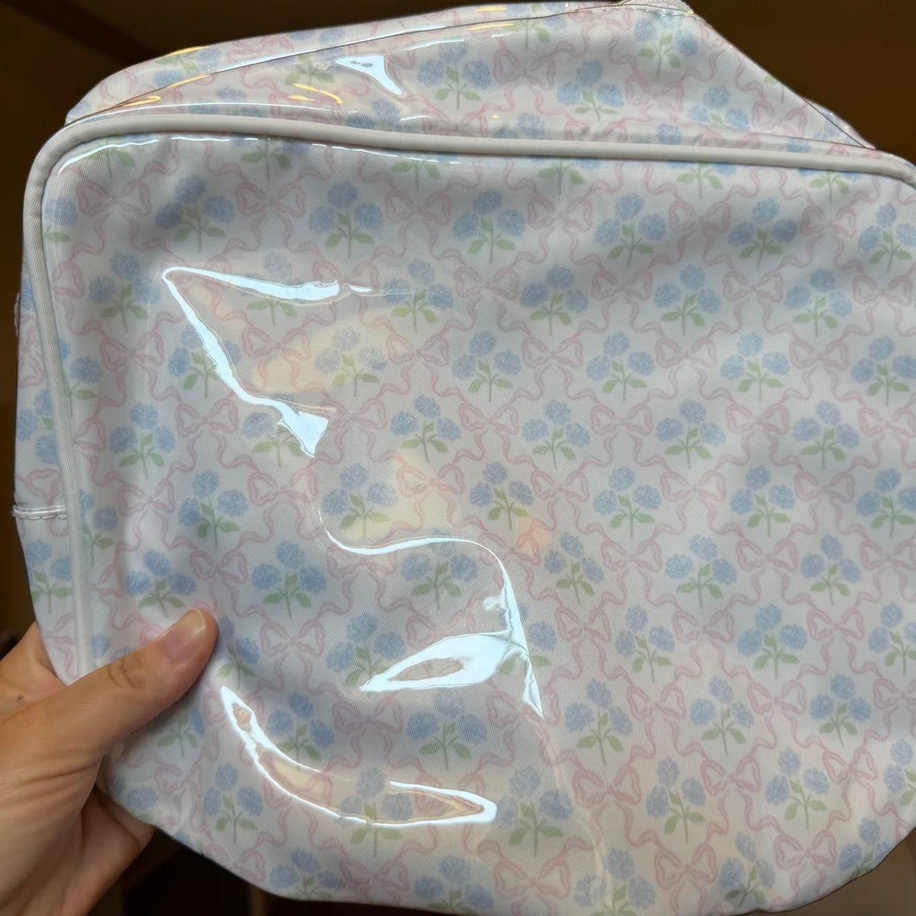 Large Wipeable Clear Pouches