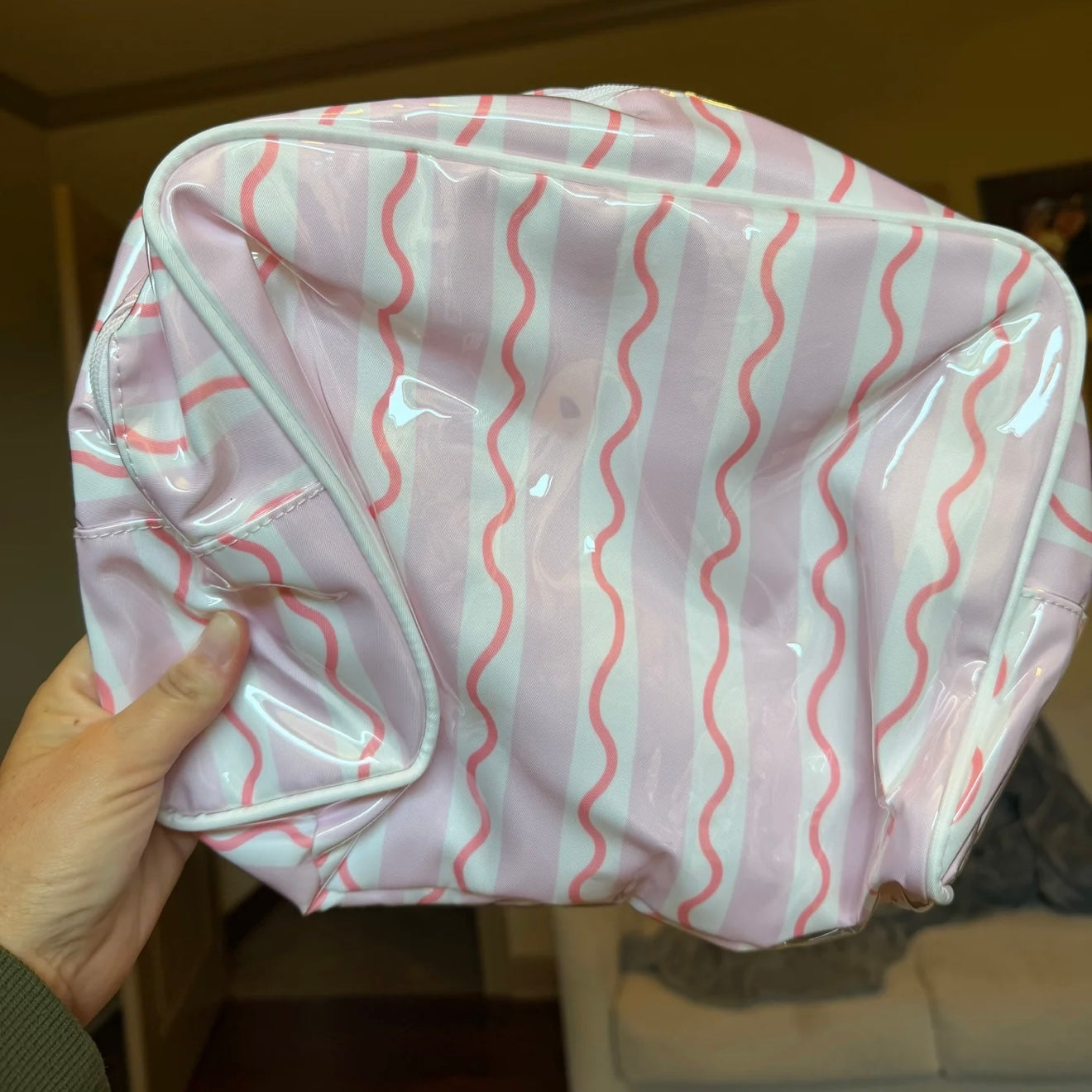 Large Wipeable Clear Pouches